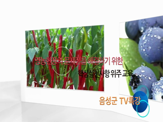 VOD 동영상 대표이미지