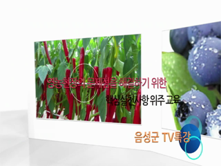 VOD 동영상 대표이미지